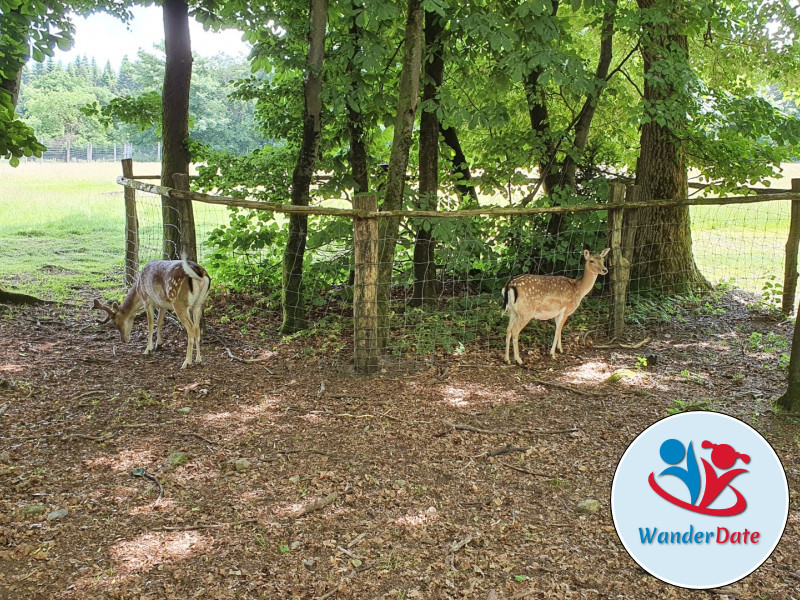 Erdkühler und Englischer Garten in Michelstadt