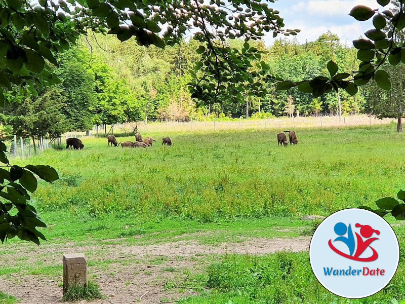 Erdkühler und Englischer Garten in Michelstadt