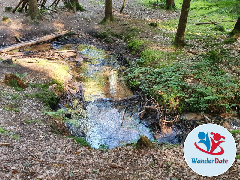 Wachtenburg, Bräuningerfelsen und Schneckennudel