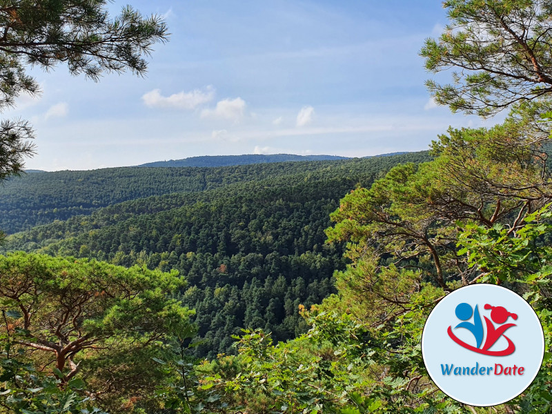 Wachtenburg, Bräuningerfelsen und Schneckennudel