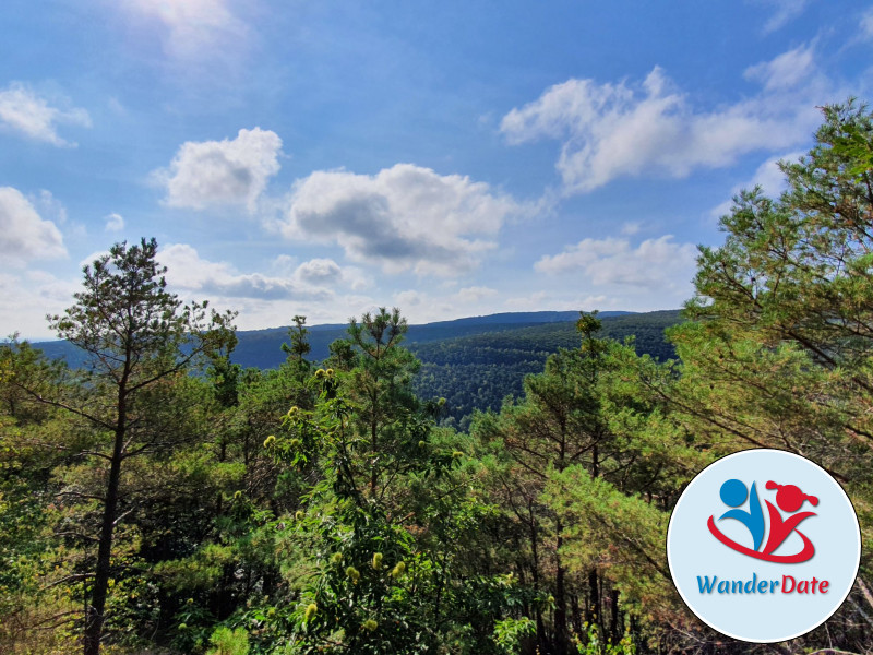 Wachtenburg, Bräuningerfelsen und Schneckennudel