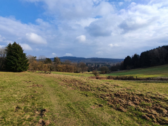 Silberbachtal und Butznickel Felsen