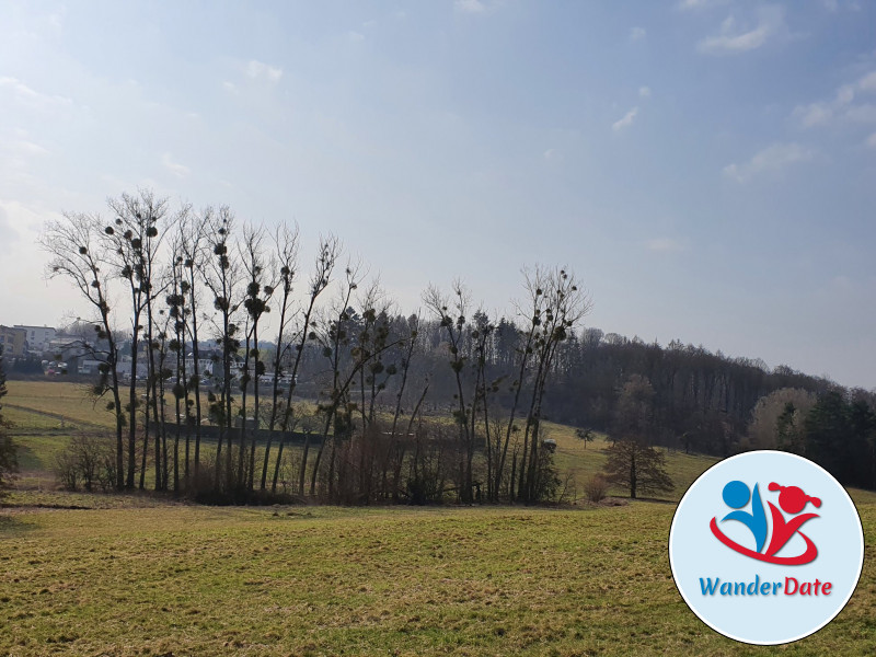 Silberbachtal und Butznickel Felsen