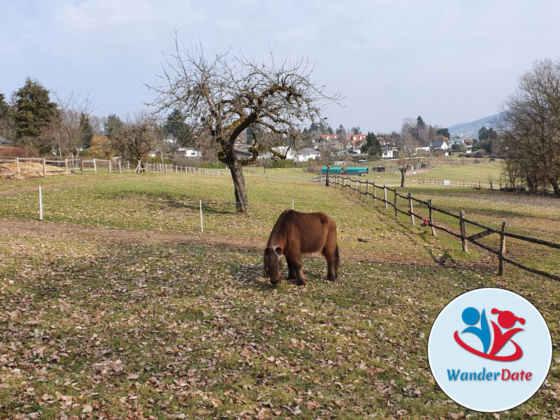 Silberbachtal und Butznickel Felsen