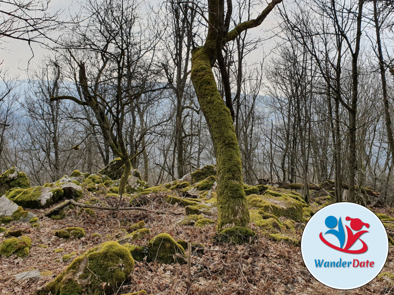 Silberbachtal und Butznickel Felsen