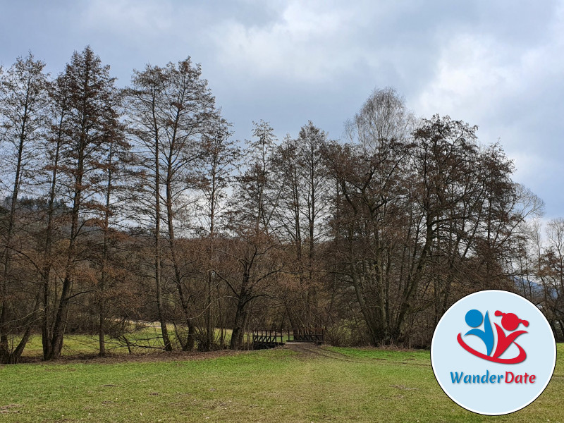 Silberbachtal und Butznickel Felsen