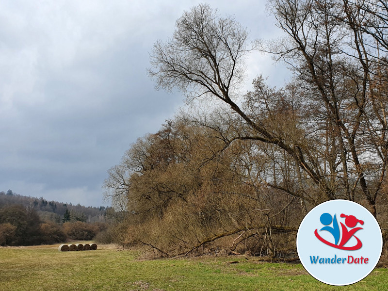 Silberbachtal und Butznickel Felsen