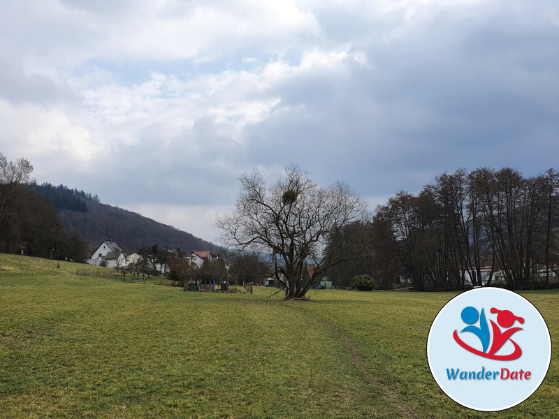 Silberbachtal und Butznickel Felsen