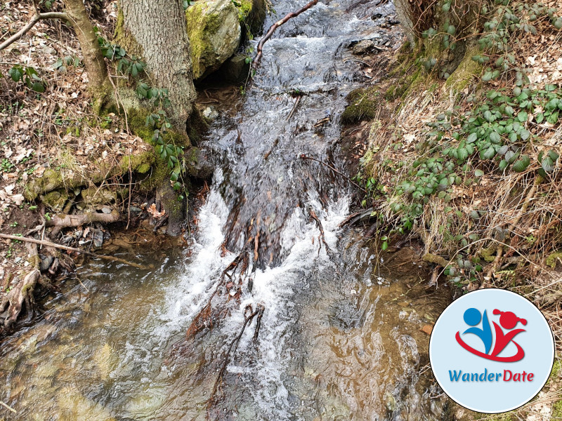 Silberbachtal und Butznickel Felsen