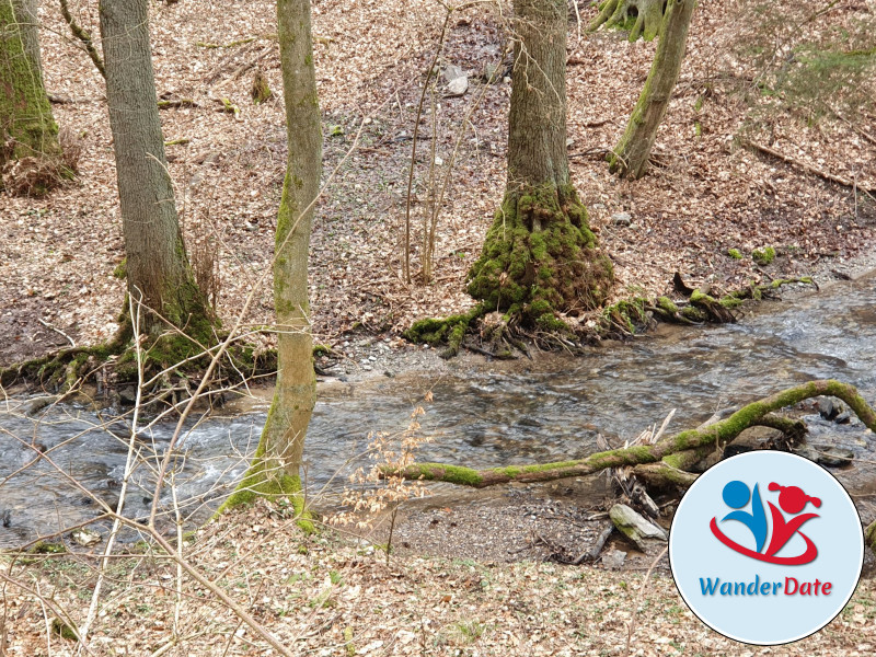 Silberbachtal und Butznickel Felsen