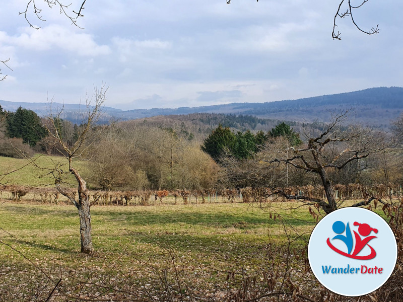 Silberbachtal und Butznickel Felsen