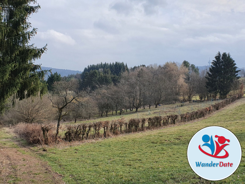 Silberbachtal und Butznickel Felsen