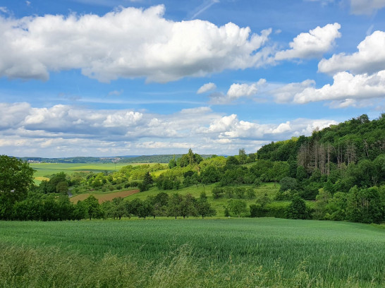 Keltenwelt am Glauberg