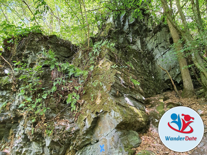 Pyrmonter Felsensteig, Hängeseilbrücke Geierlay, Hahnenbachtaltour