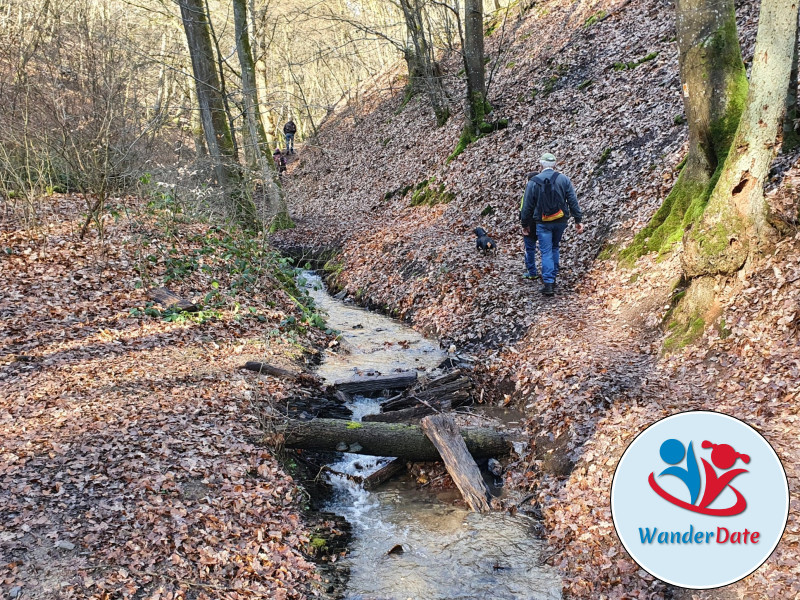 Pyrmonter Felsensteig, Hängeseilbrücke Geierlay, Hahnenbachtaltour