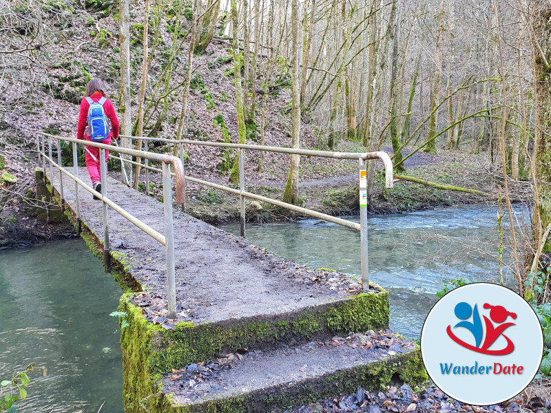 Pyrmonter Felsensteig, Hängeseilbrücke Geierlay, Hahnenbachtaltour