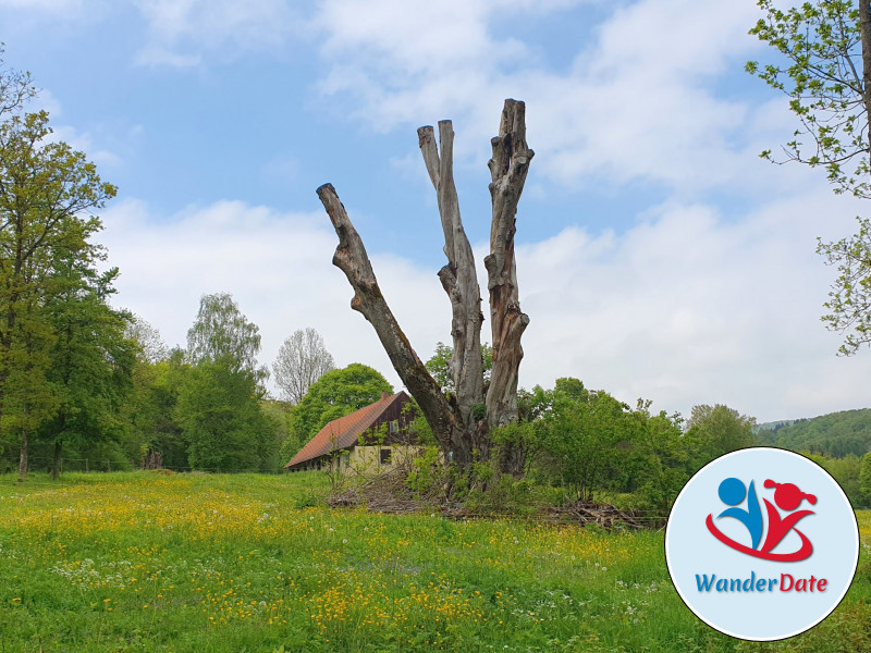 Rhön - Land der offenen Fernen