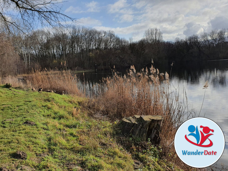 Erlensee und Pfungstädter Moor