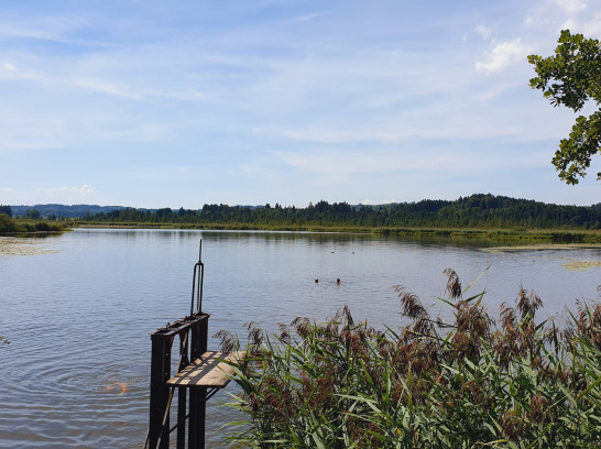 Maisinger Schlucht u. Starnberger See