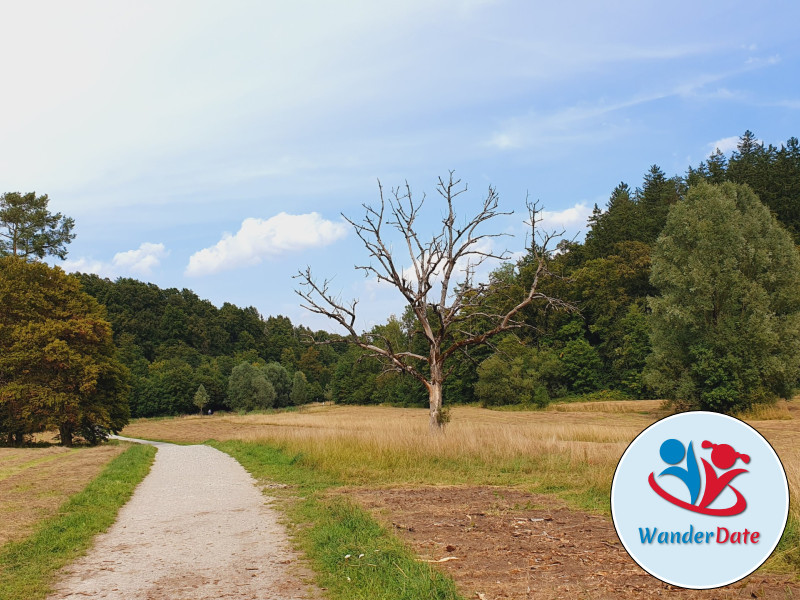 Maisinger Schlucht u. Starnberger See