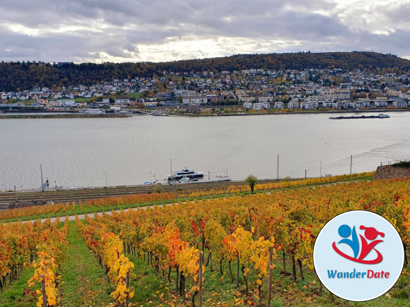 Den Rheingau erleben