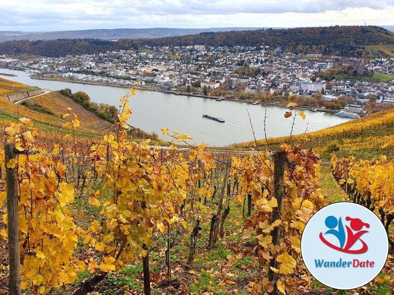 Den Rheingau erleben