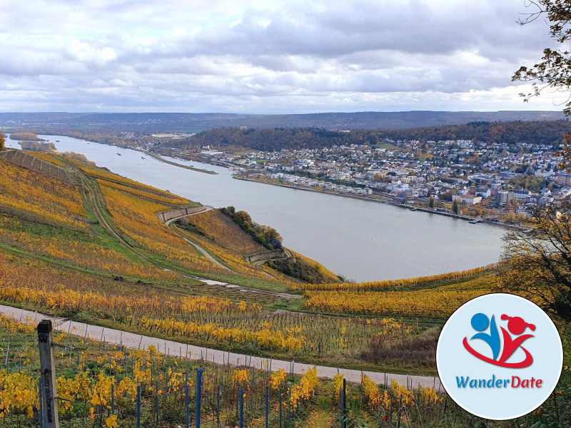 Den Rheingau erleben