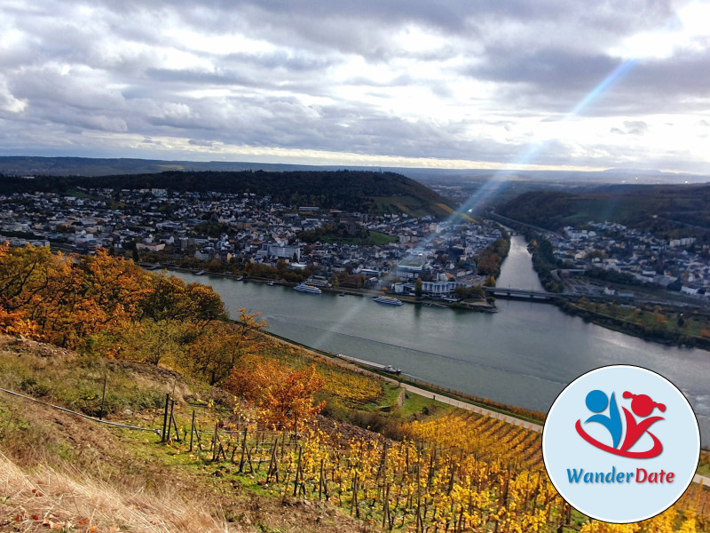 Den Rheingau erleben