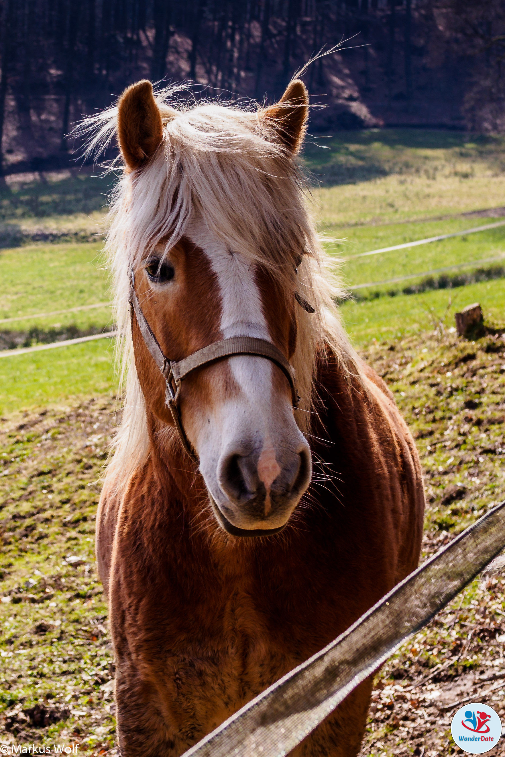 20150406 Sankt Jost Pilgerweg