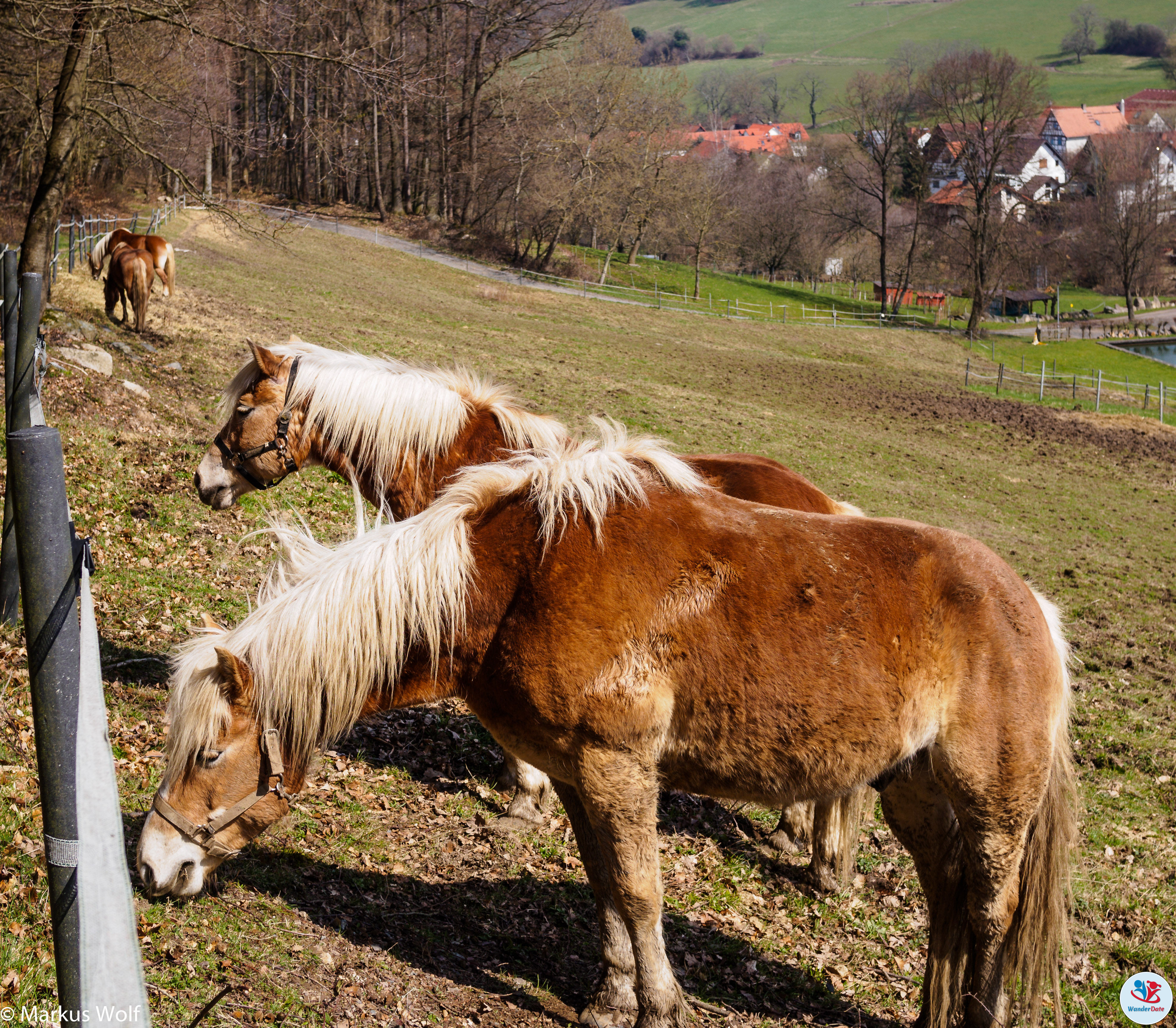 20150406 Sankt Jost Pilgerweg