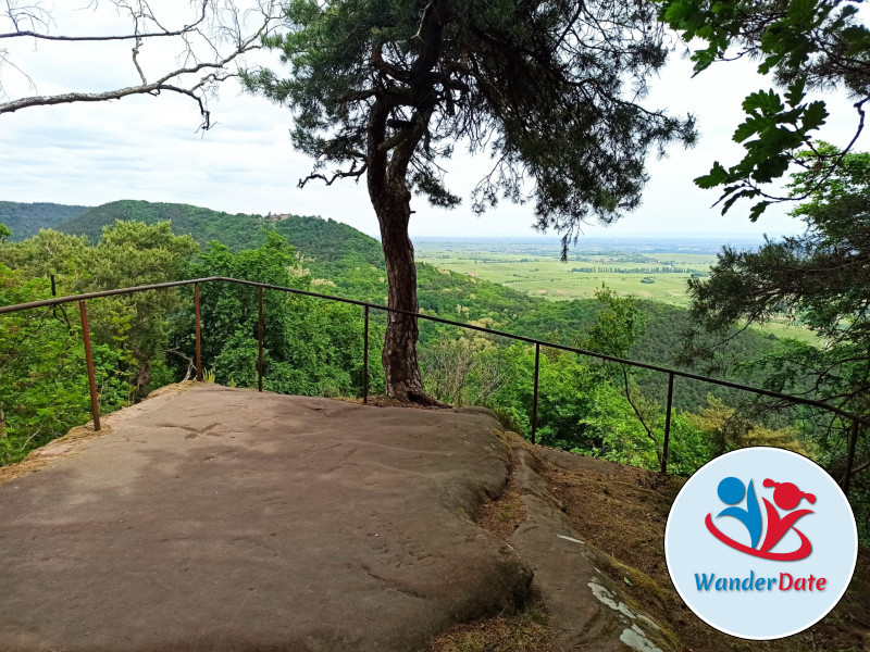 Singlewanderung zur Burg Landeck mit Trifelsblick
