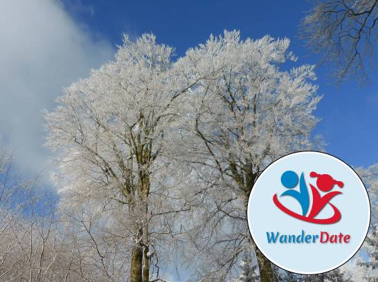 Feldbergbesteigung im Winter im Taunus