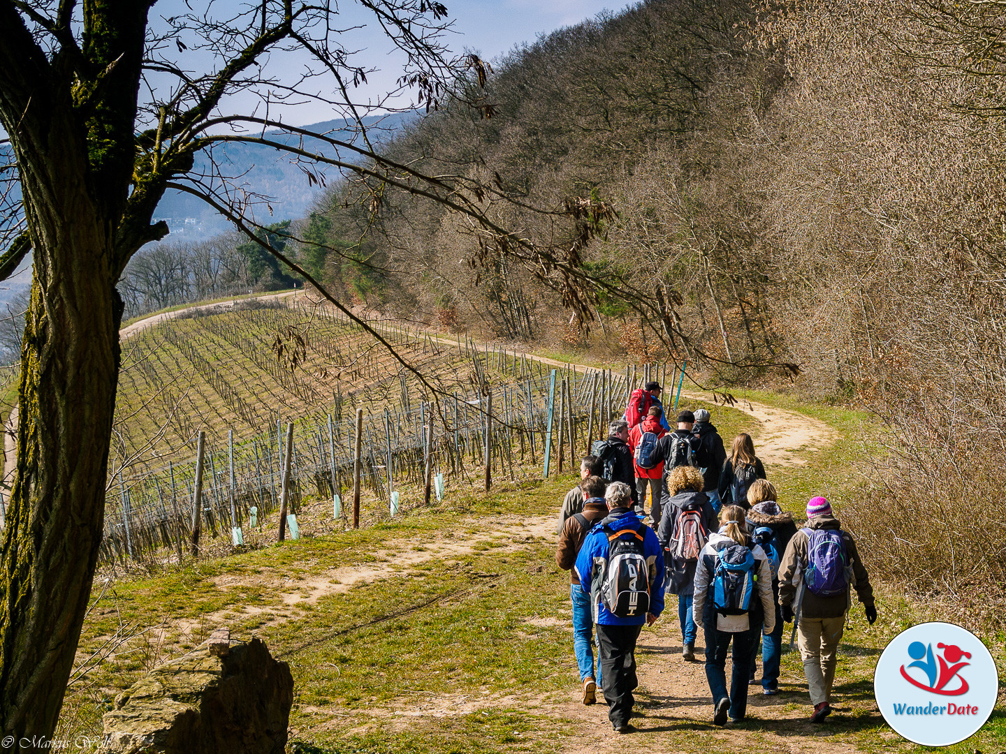 20160313 WD Rüdesheim