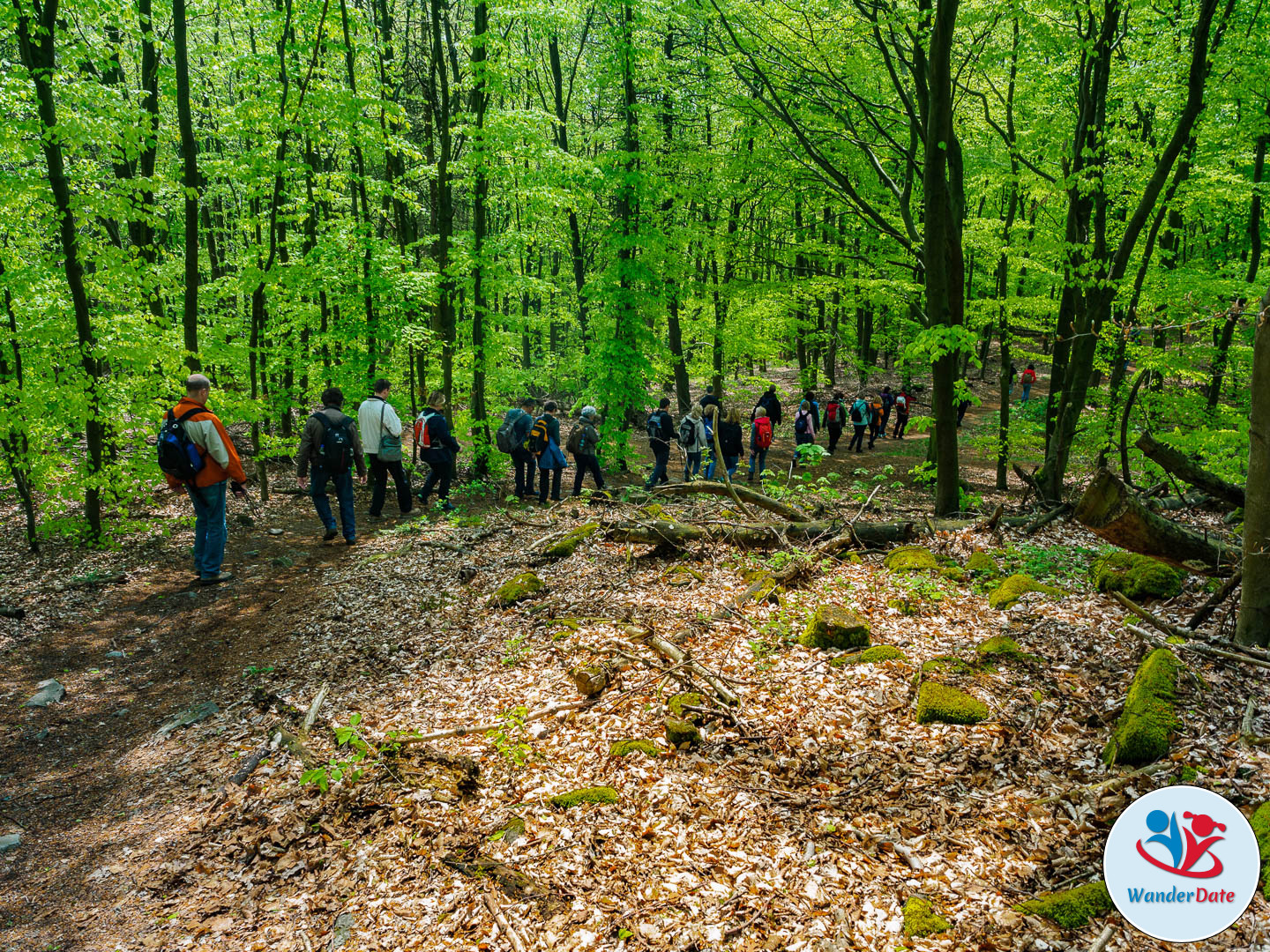 20160501 WD Burgenweg