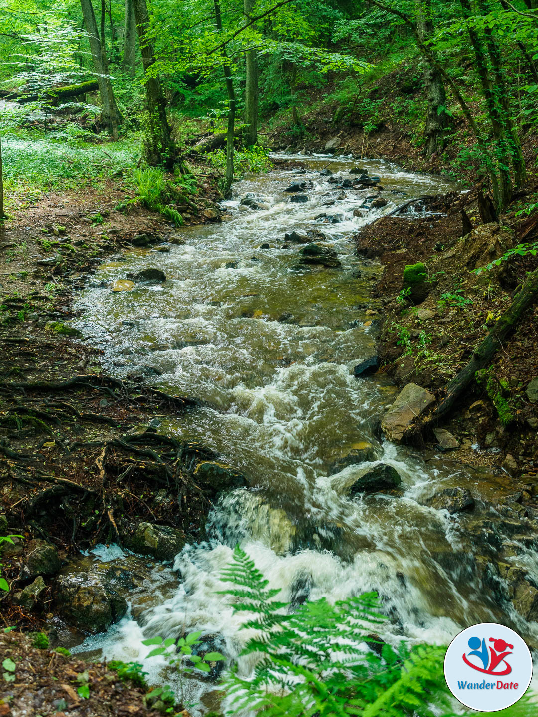 20160612 WD Trechtingshausen