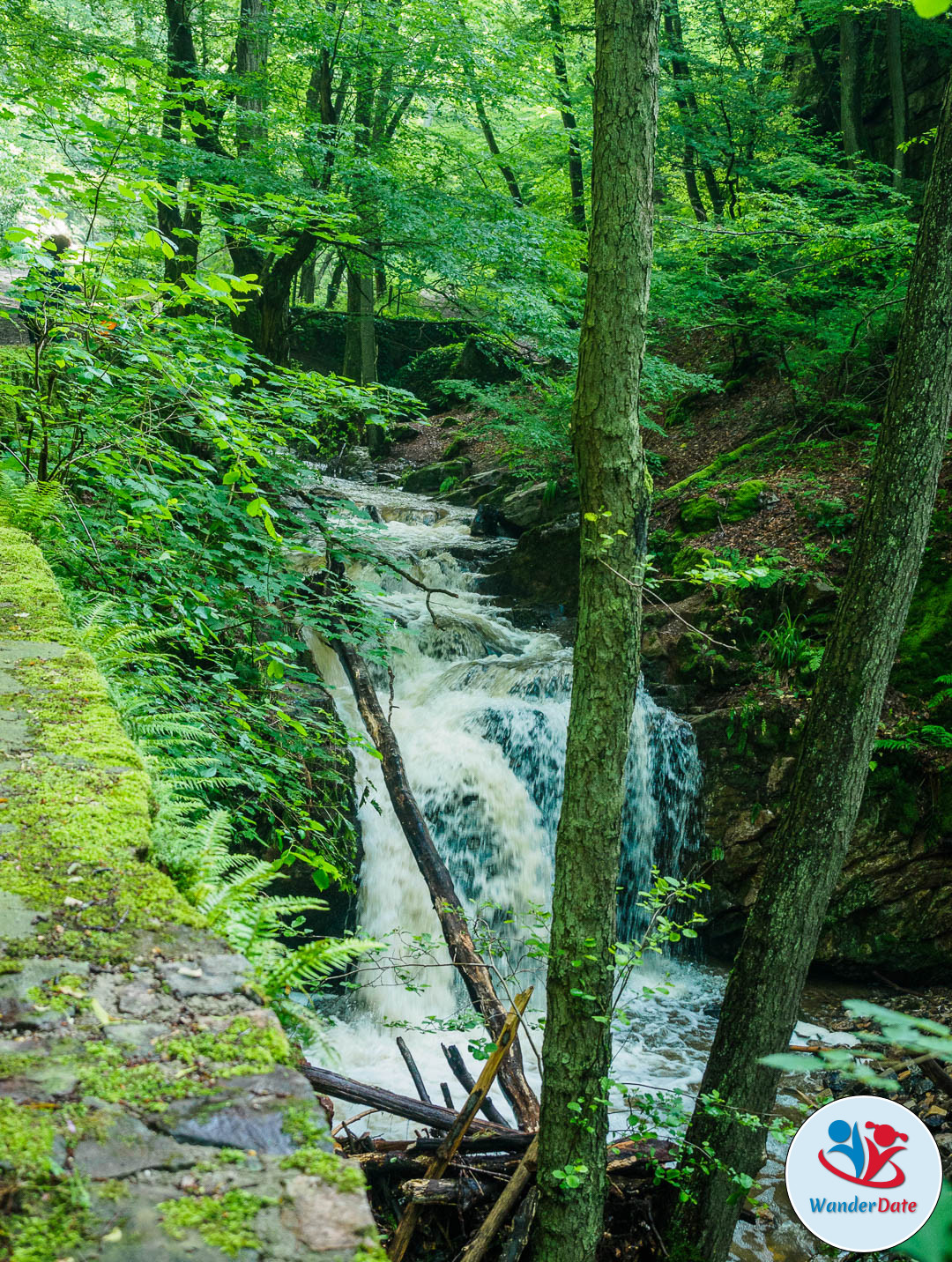 20160612 WD Trechtingshausen