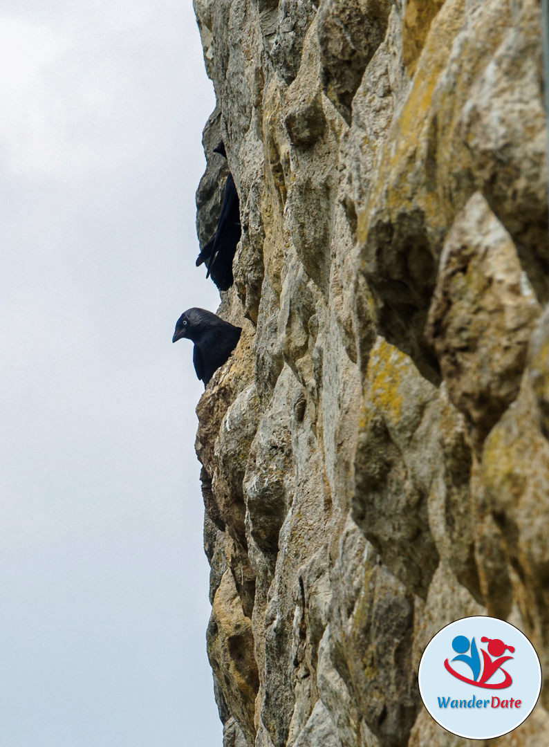 20170423 WD Drei Türme-Wanderung