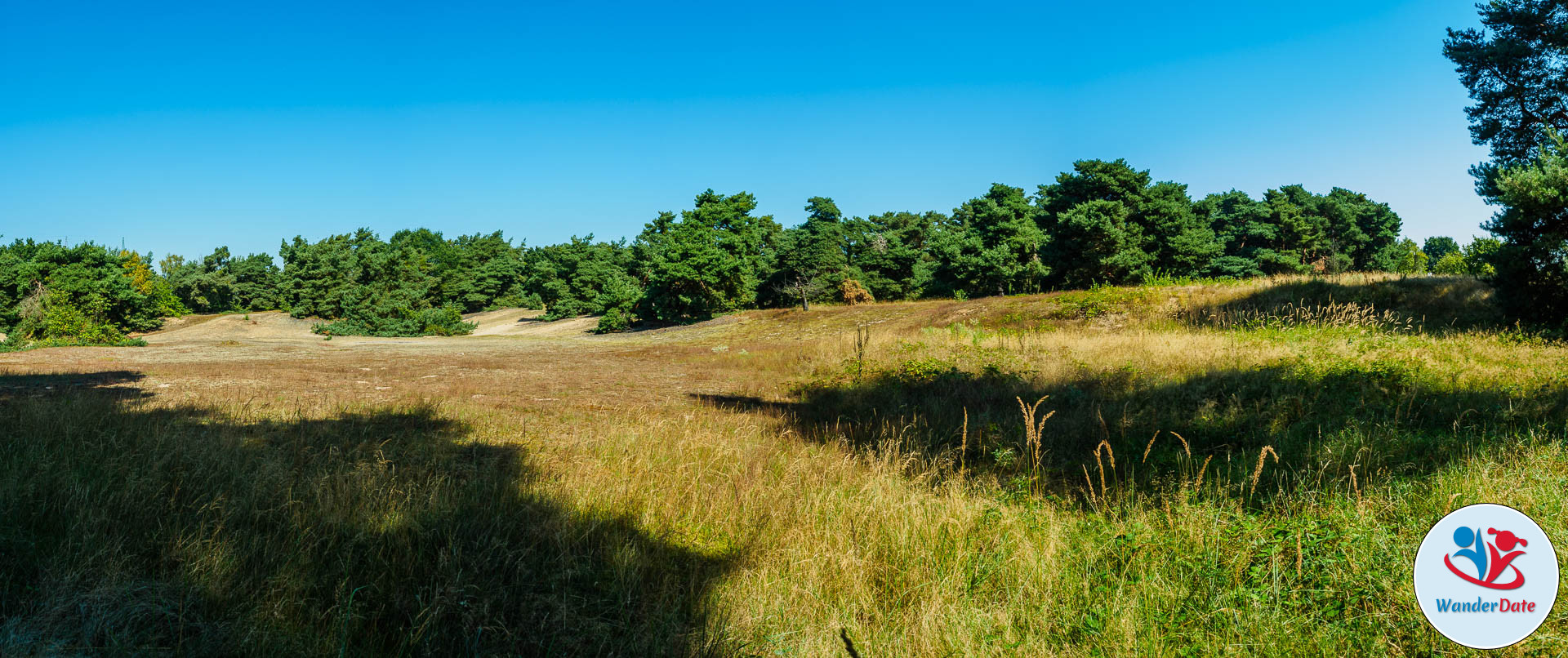 20160828 WD Schwanheimer Düne