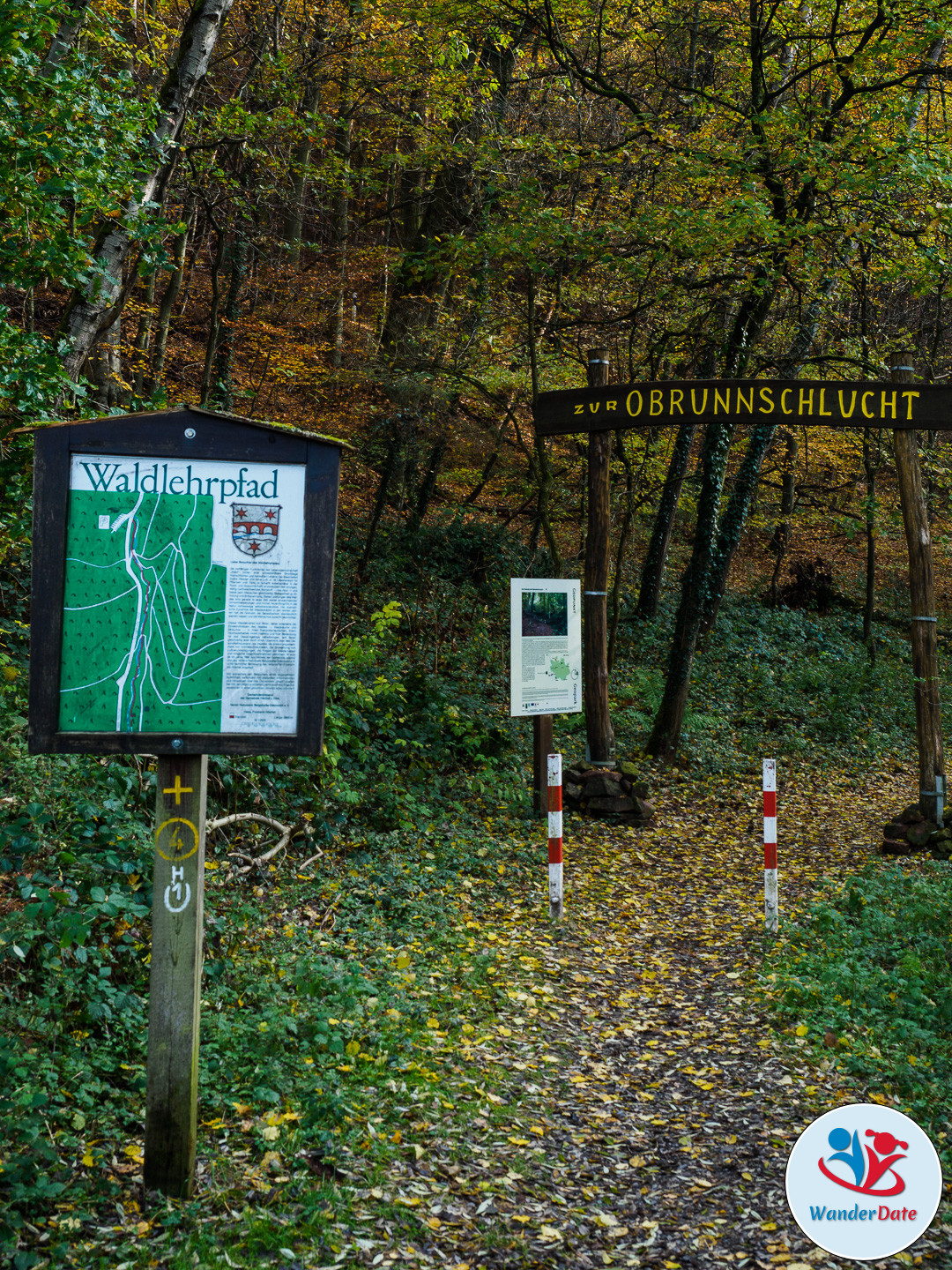 20161113 WD Höchst Märchenwald