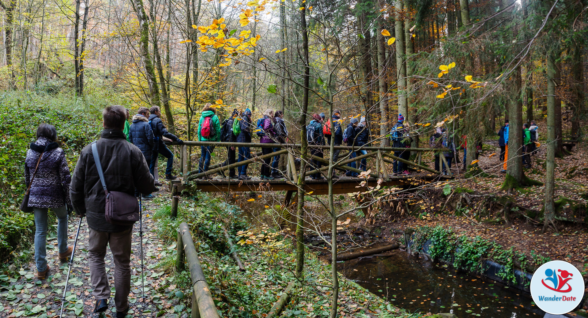 20161113 WD Höchst Märchenwald