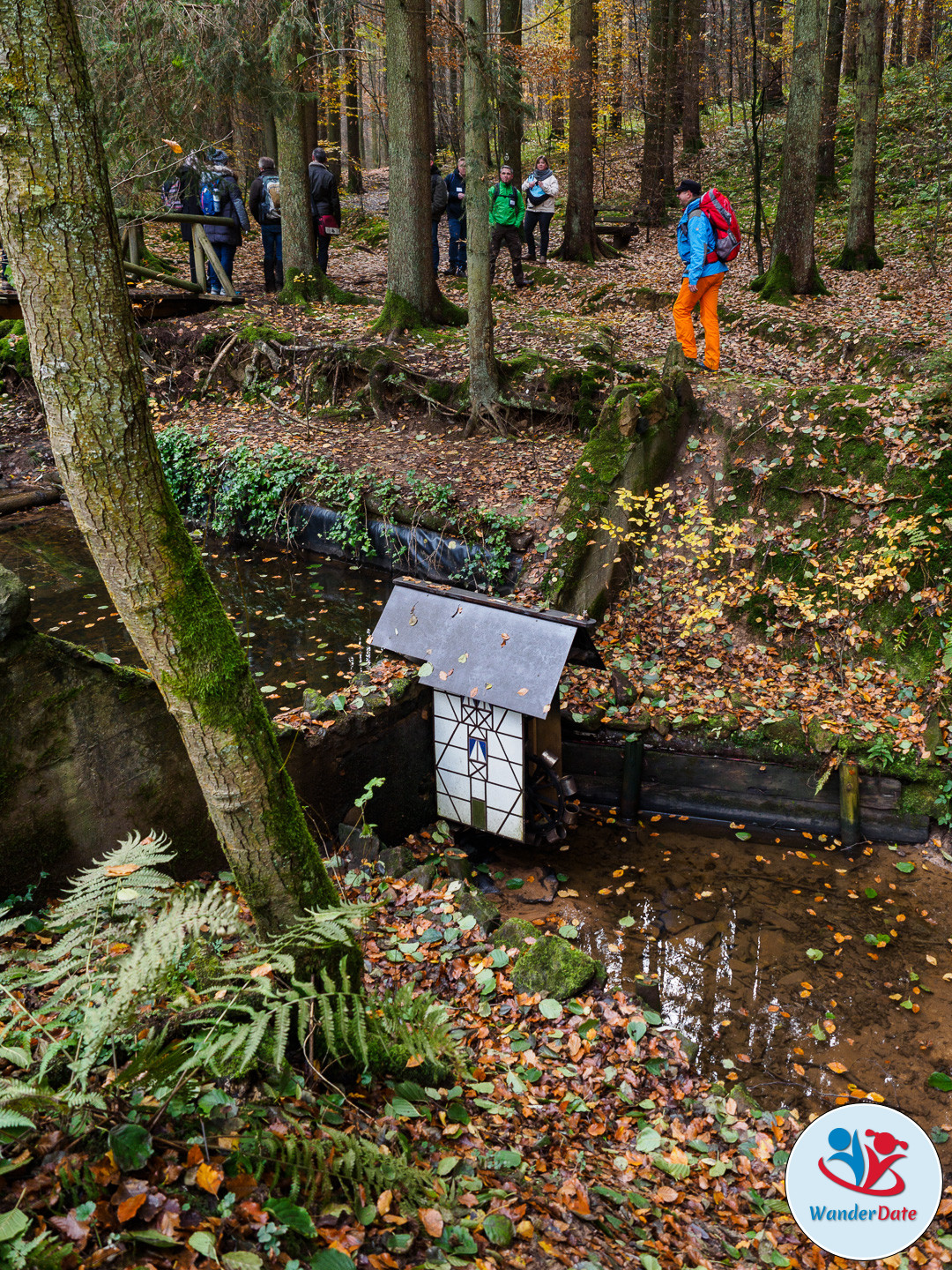 20161113 WD Höchst Märchenwald