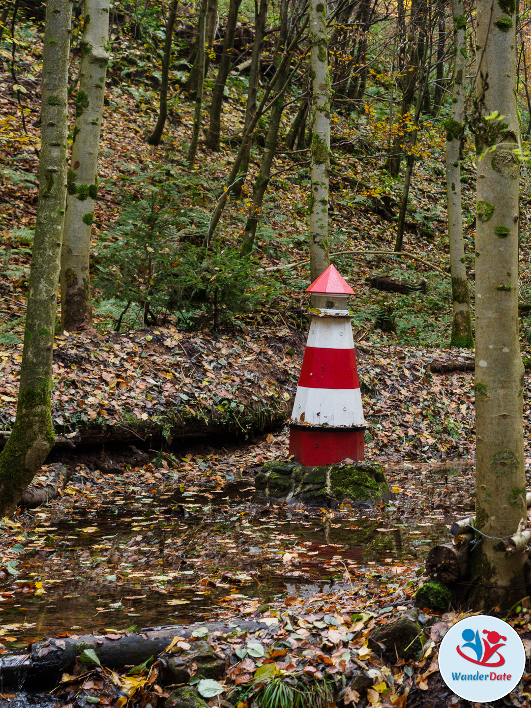 20161113 WD Höchst Märchenwald