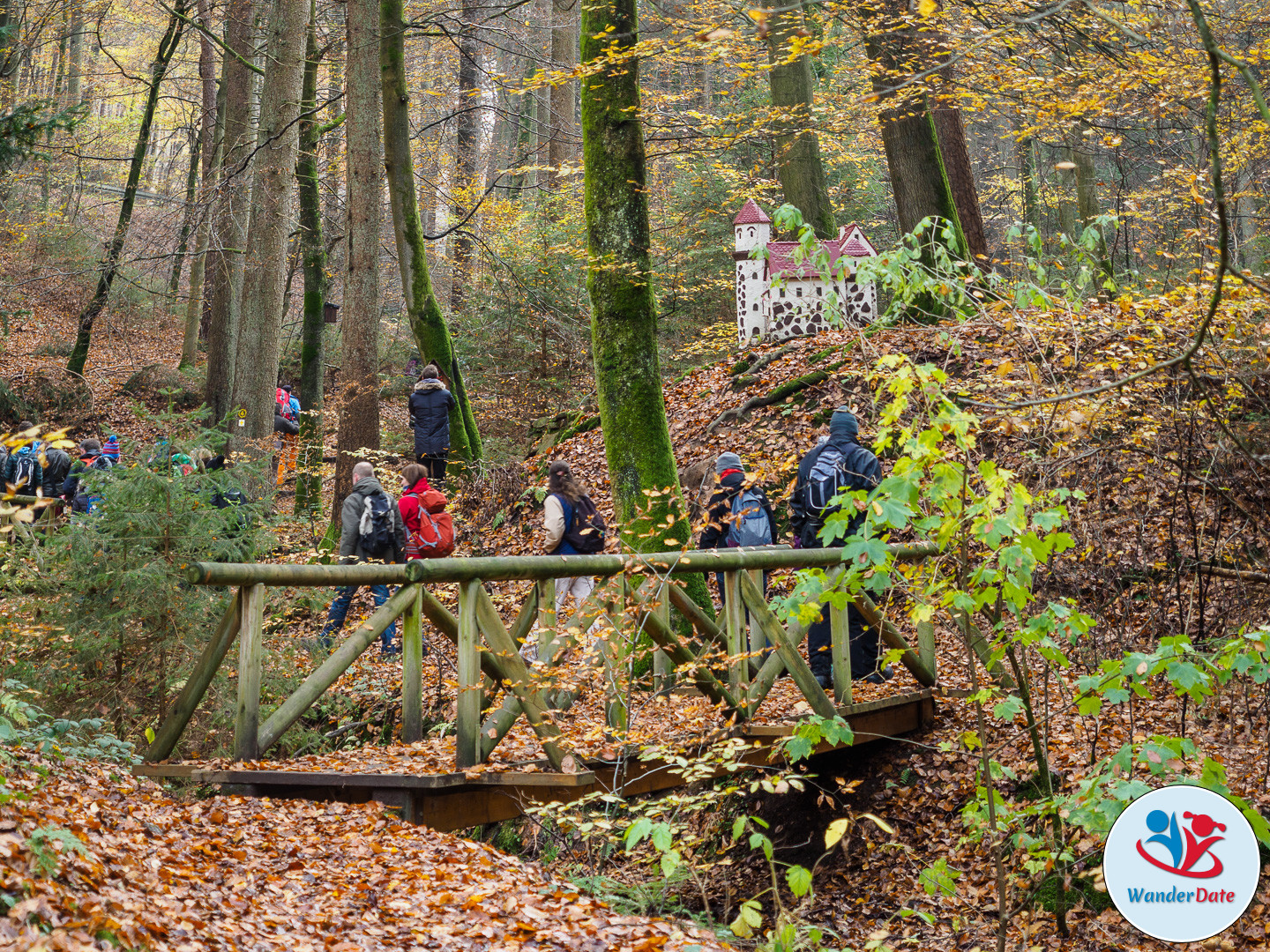 20161113 WD Höchst Märchenwald