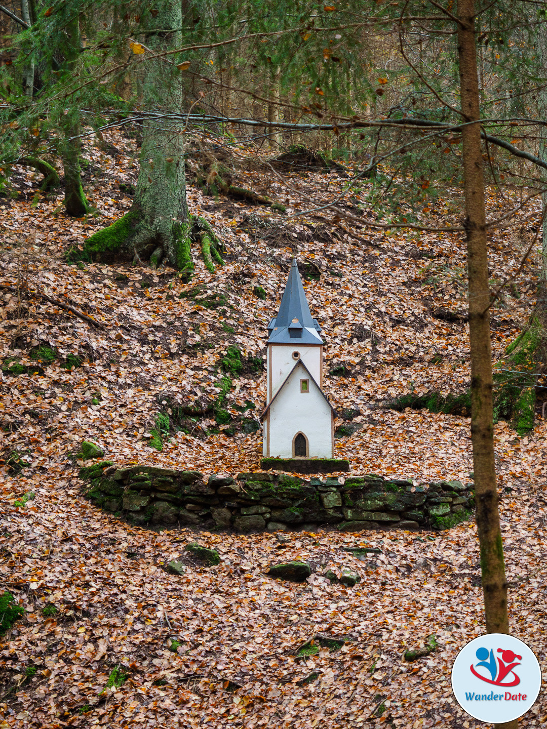 20161113 WD Höchst Märchenwald