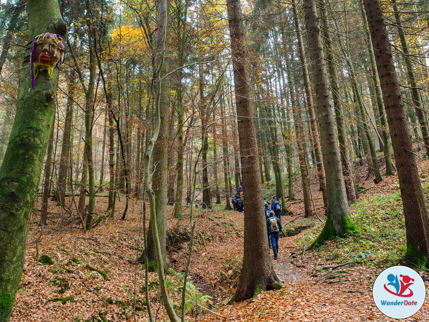 20161113 WD Höchst Märchenwald