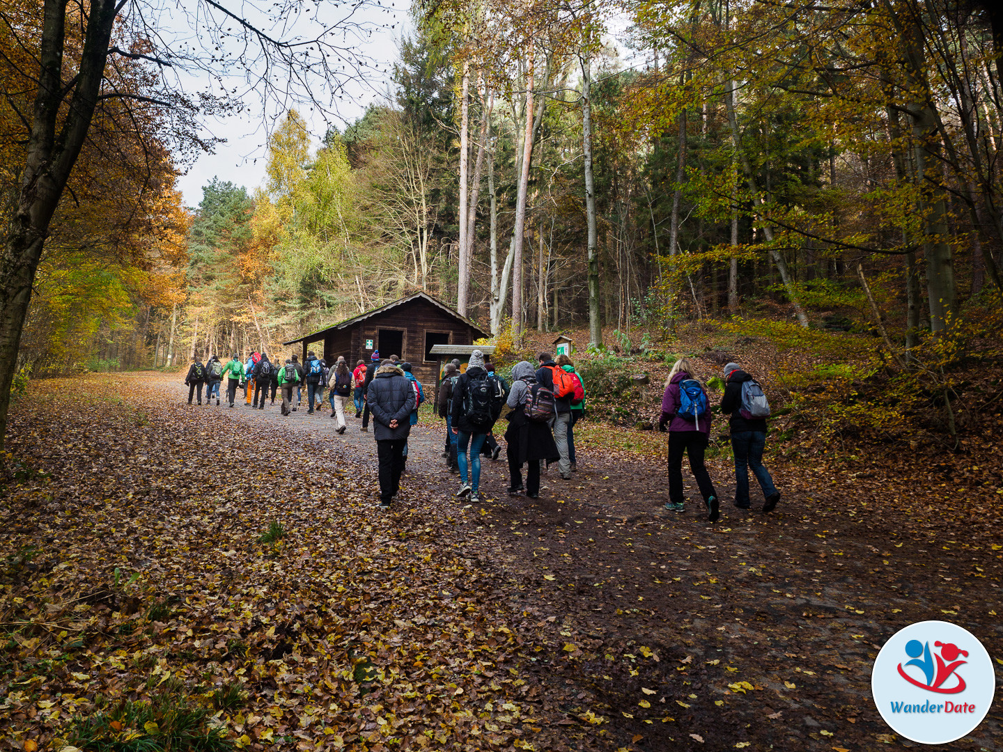 20161113 WD Höchst Märchenwald