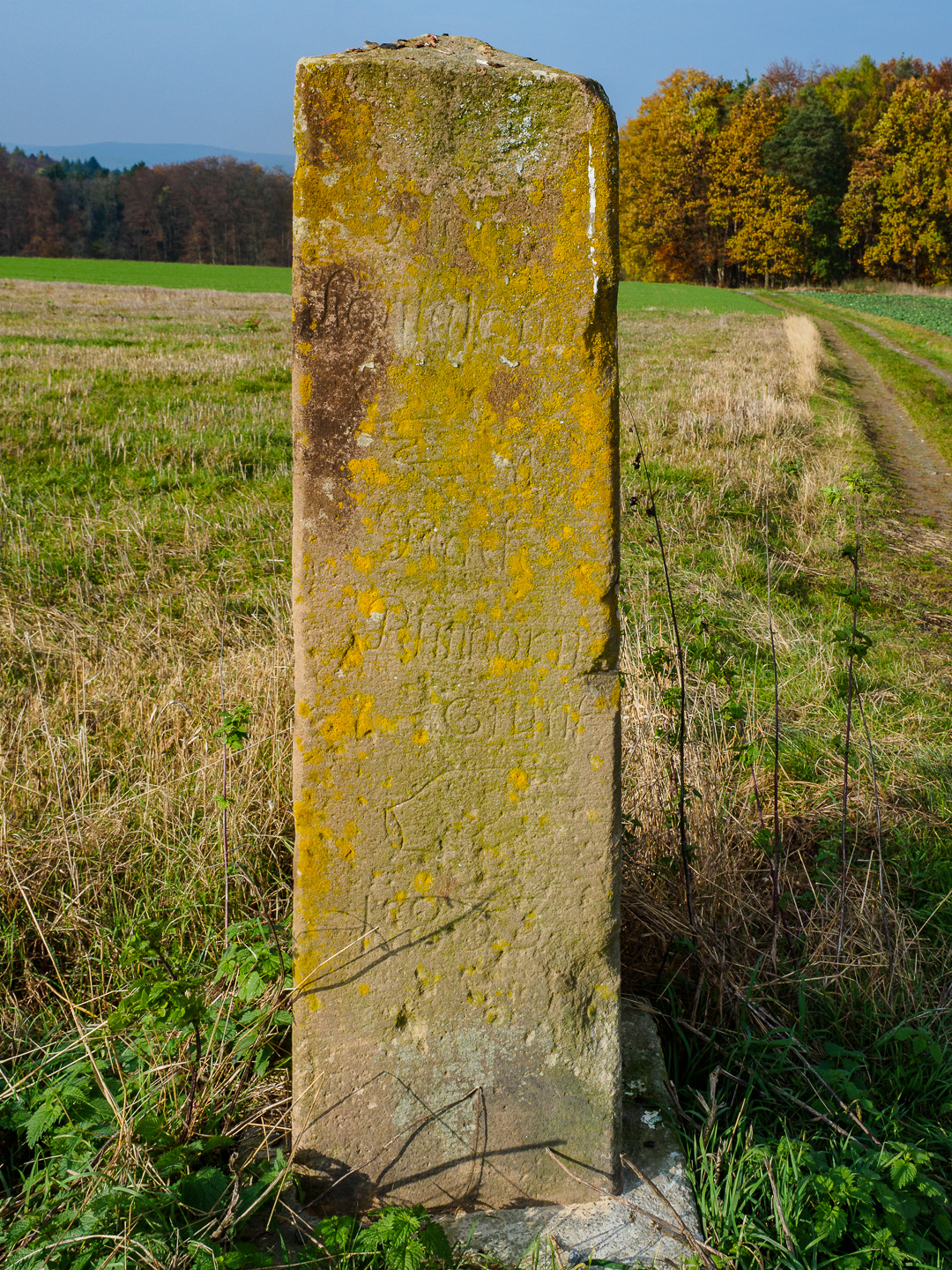 20161113 WD Höchst Märchenwald