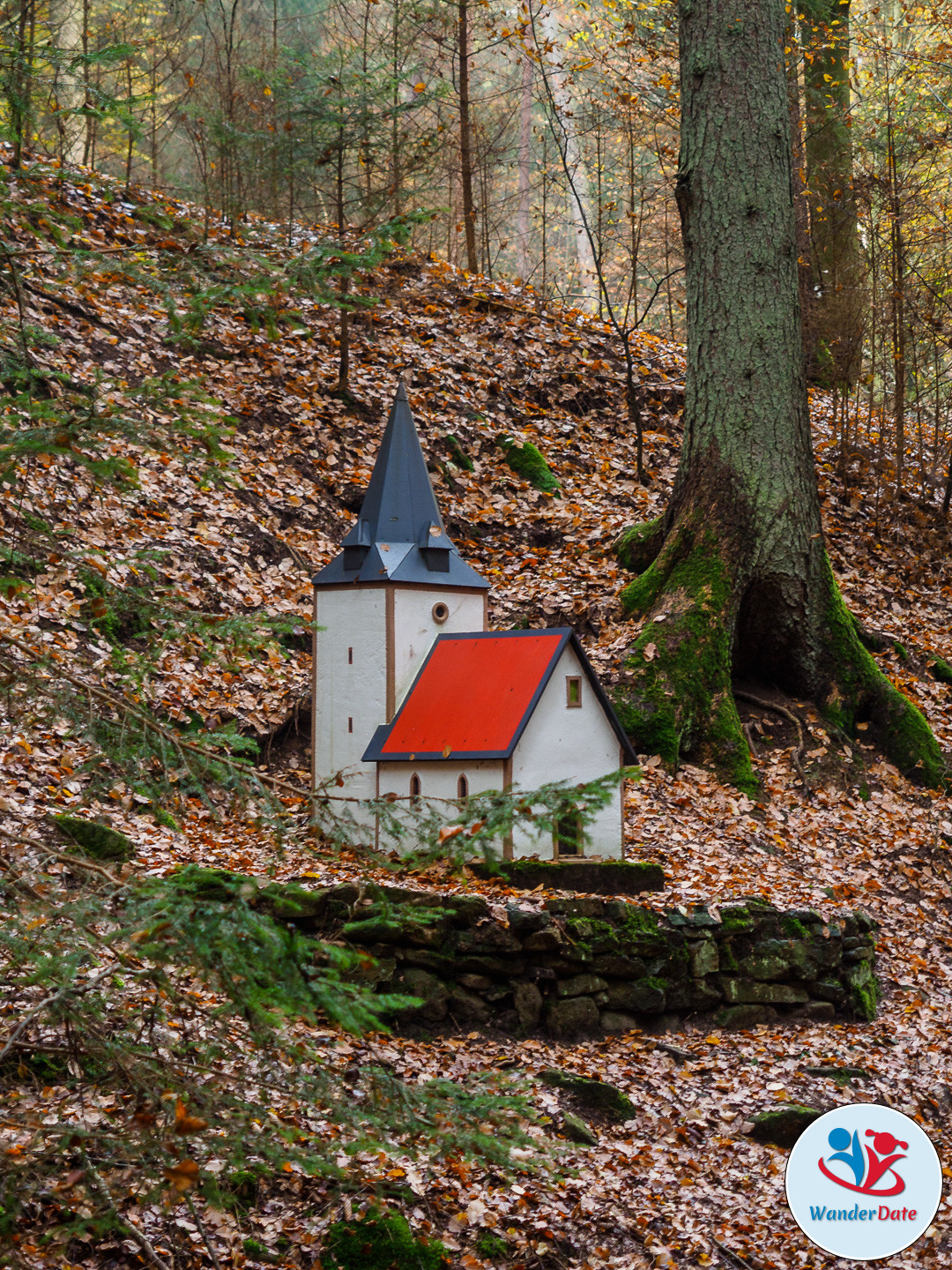 20161113 WD Höchst Märchenwald