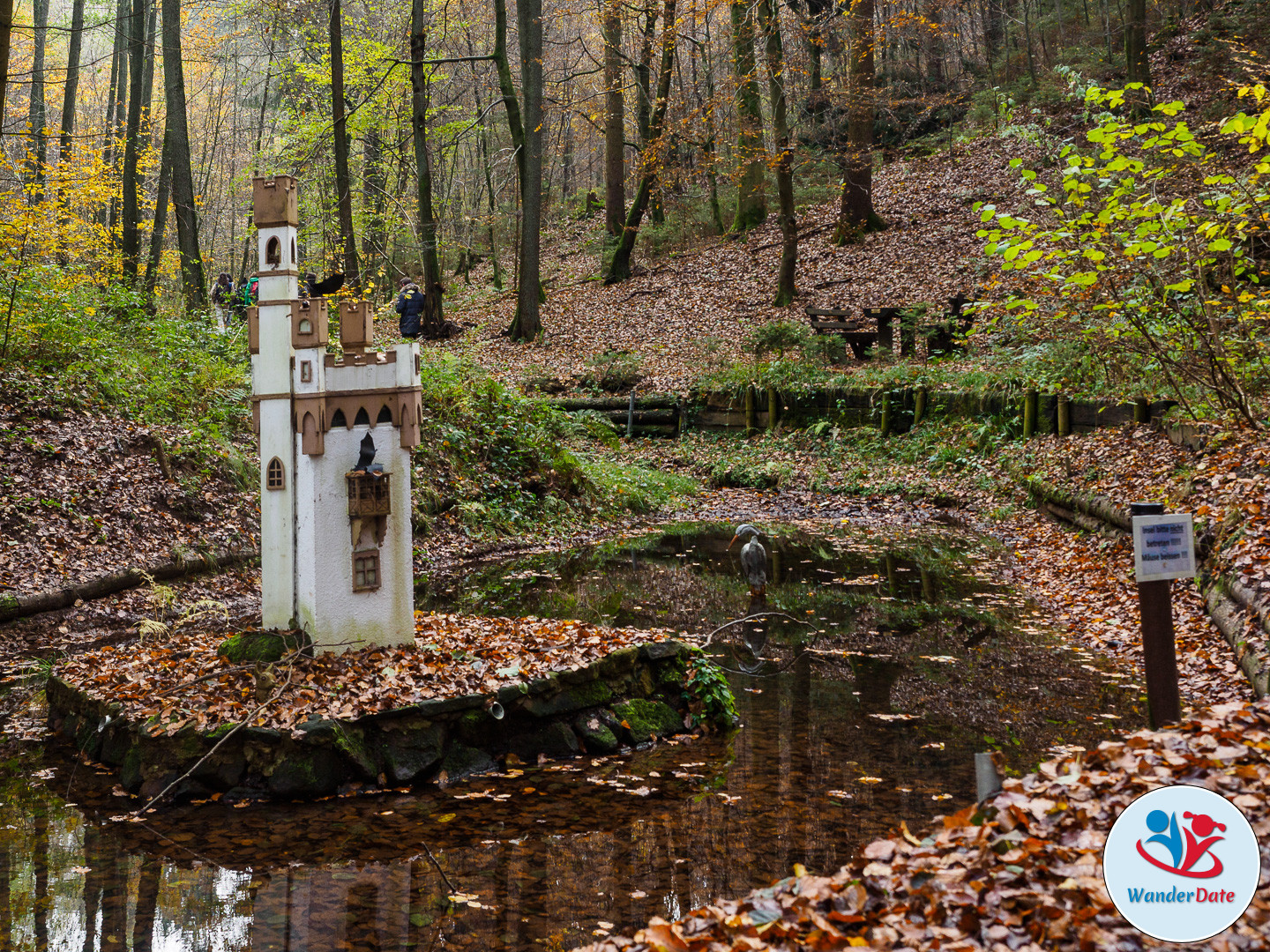 20161113 WD Höchst Märchenwald