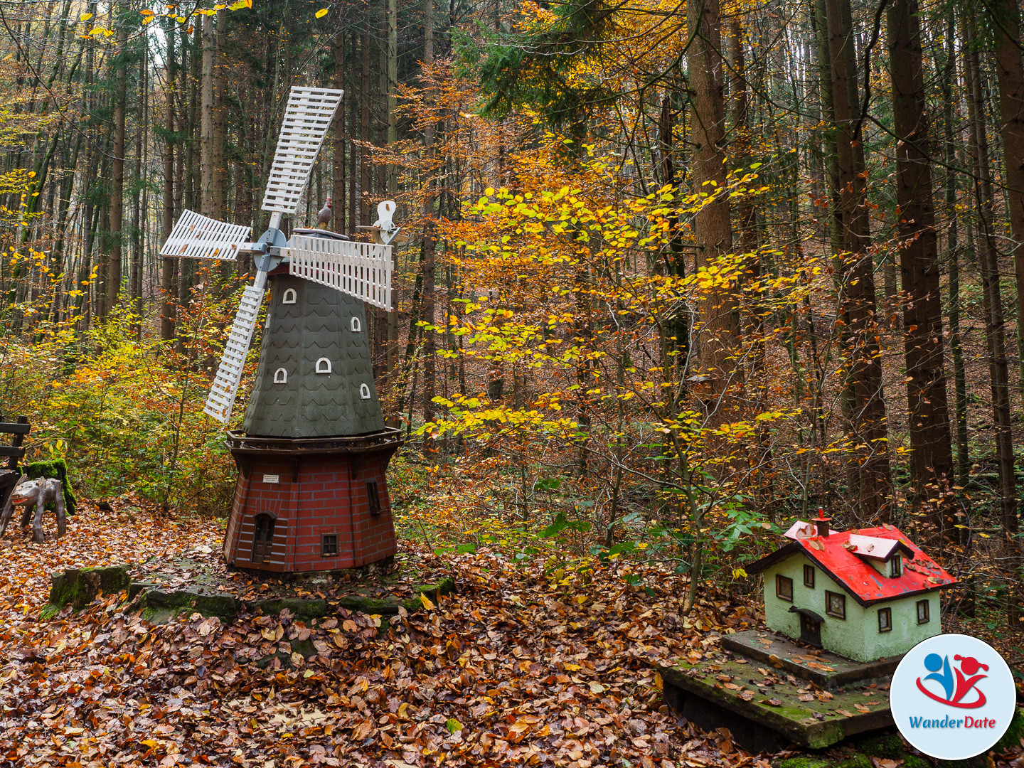 20161113 WD Höchst Märchenwald